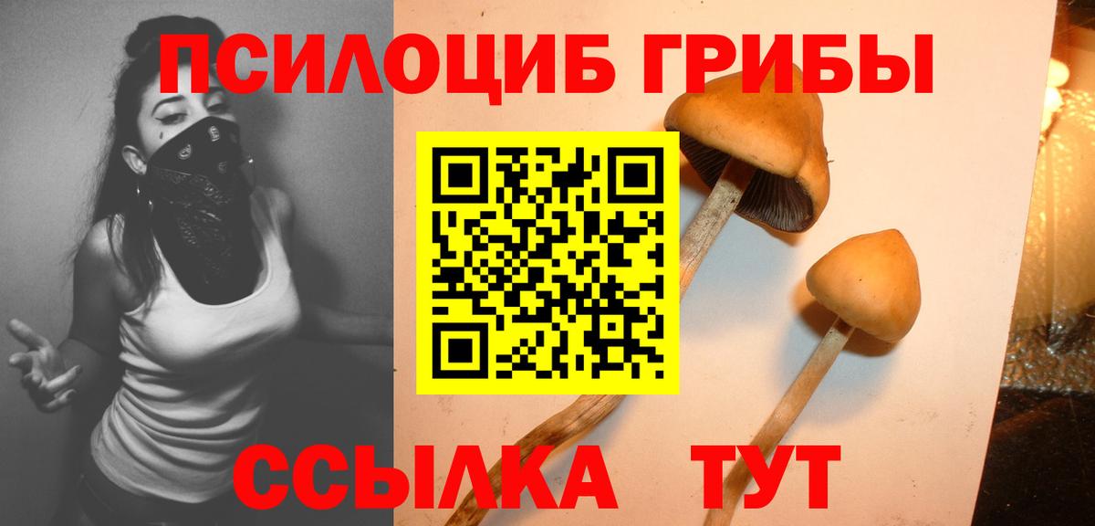 Галлюциногенные грибы Psilocybine cubensis Новоалександровск